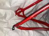Specialized Rockhopper SL