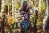 MTB řidítka 800mm, 31,8: 1)carbon (38mm zdvih) a 2)hliník Vibrocore (75mm zdvih)