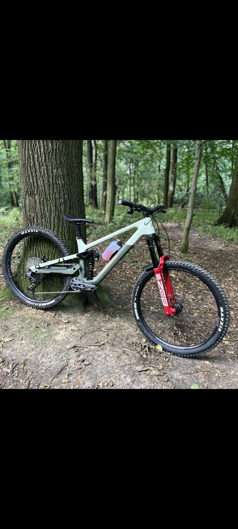 Norco Sight C2 olive