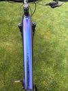 Trek Powerfly 5