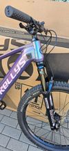 Kellys Tayen R50