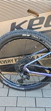 Kellys Tayen R50