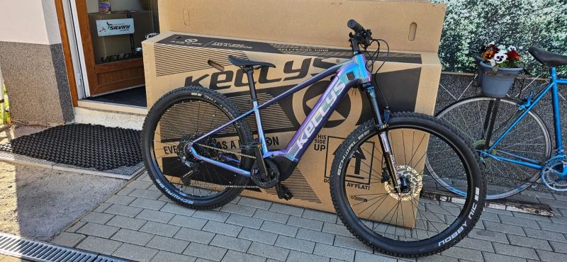 Kellys Tayen R50