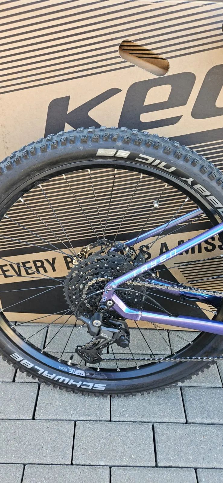 Kellys Tayen R50