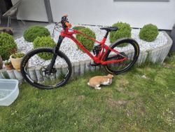 Mondraker Foxy RR