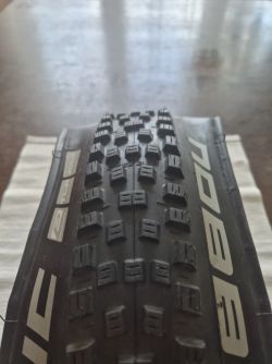 Schwalbe