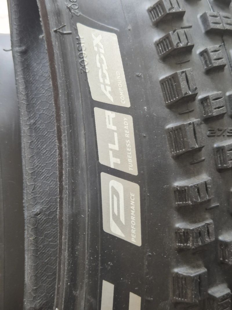 Schwalbe