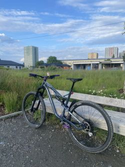 Rockrider 2020