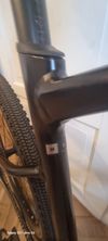 GIANT REVOLT 2023r