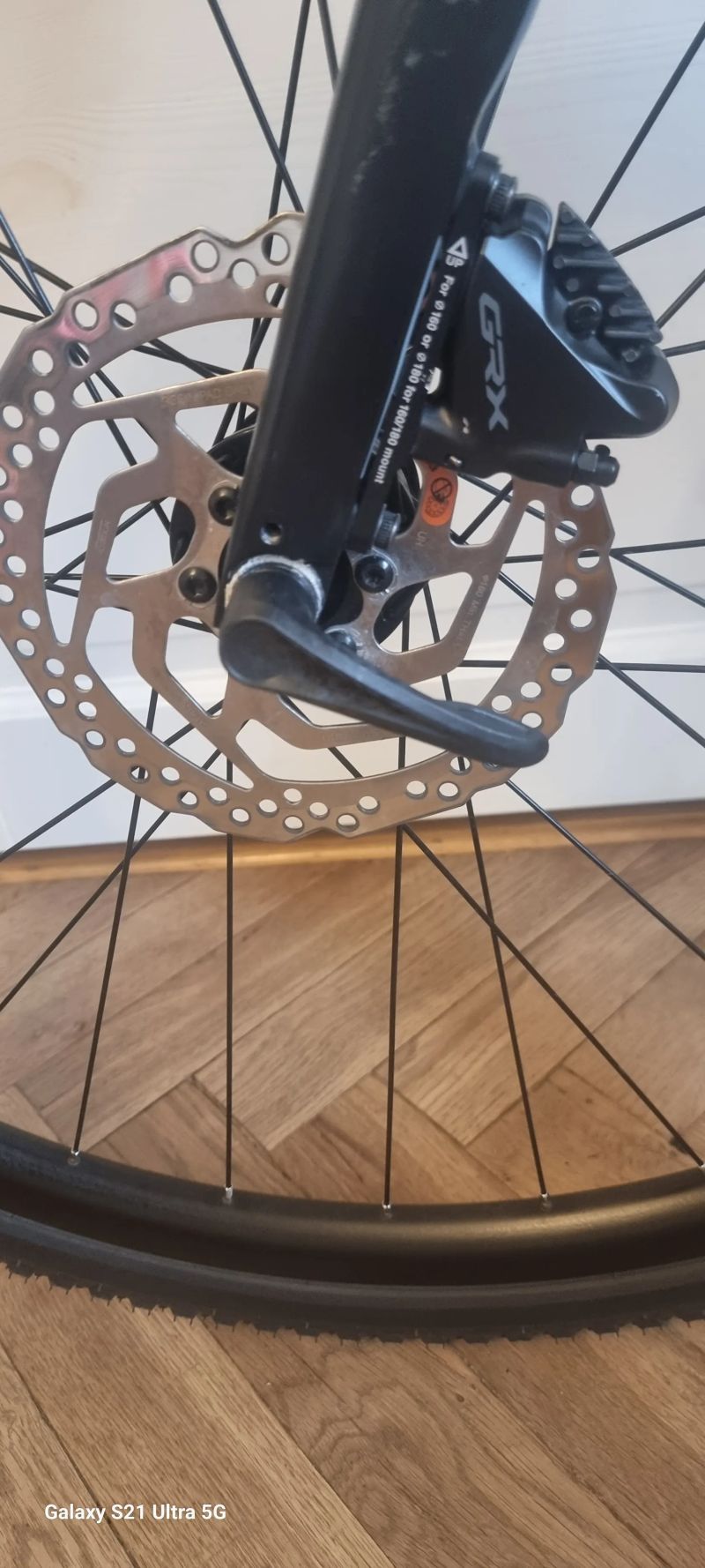 GIANT REVOLT 2023r