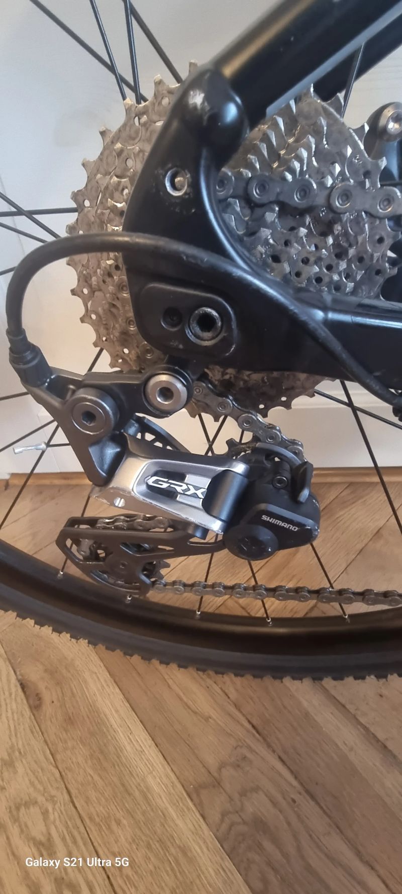 GIANT REVOLT 2023r