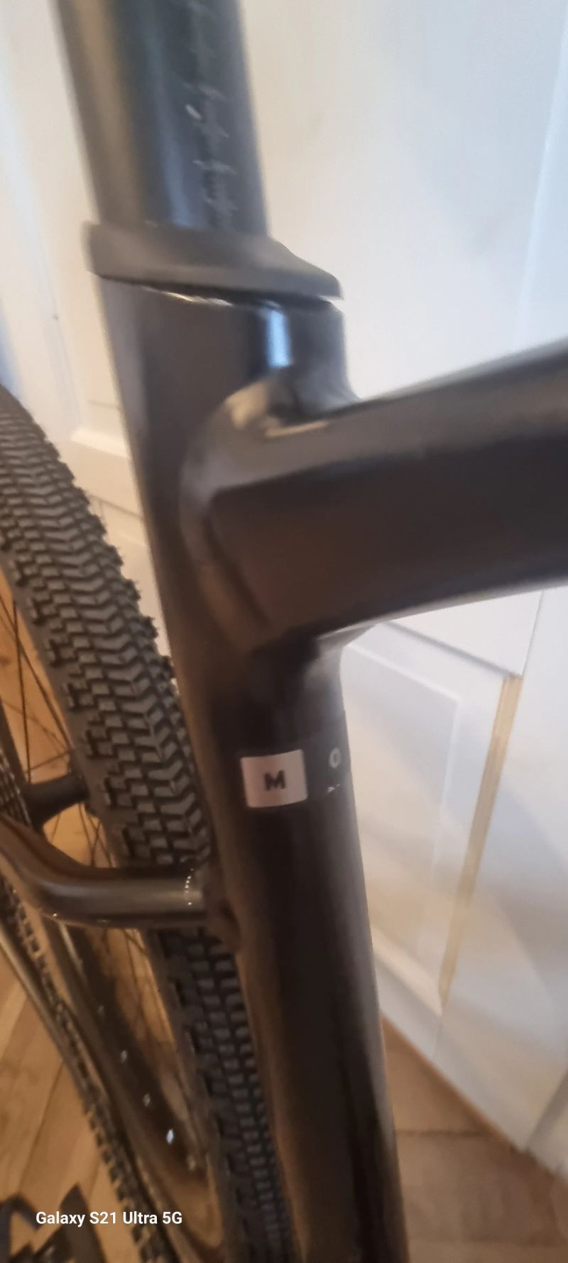 GIANT REVOLT 2023r
