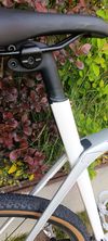Trek Domane sl5