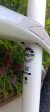 Trek Domane sl5