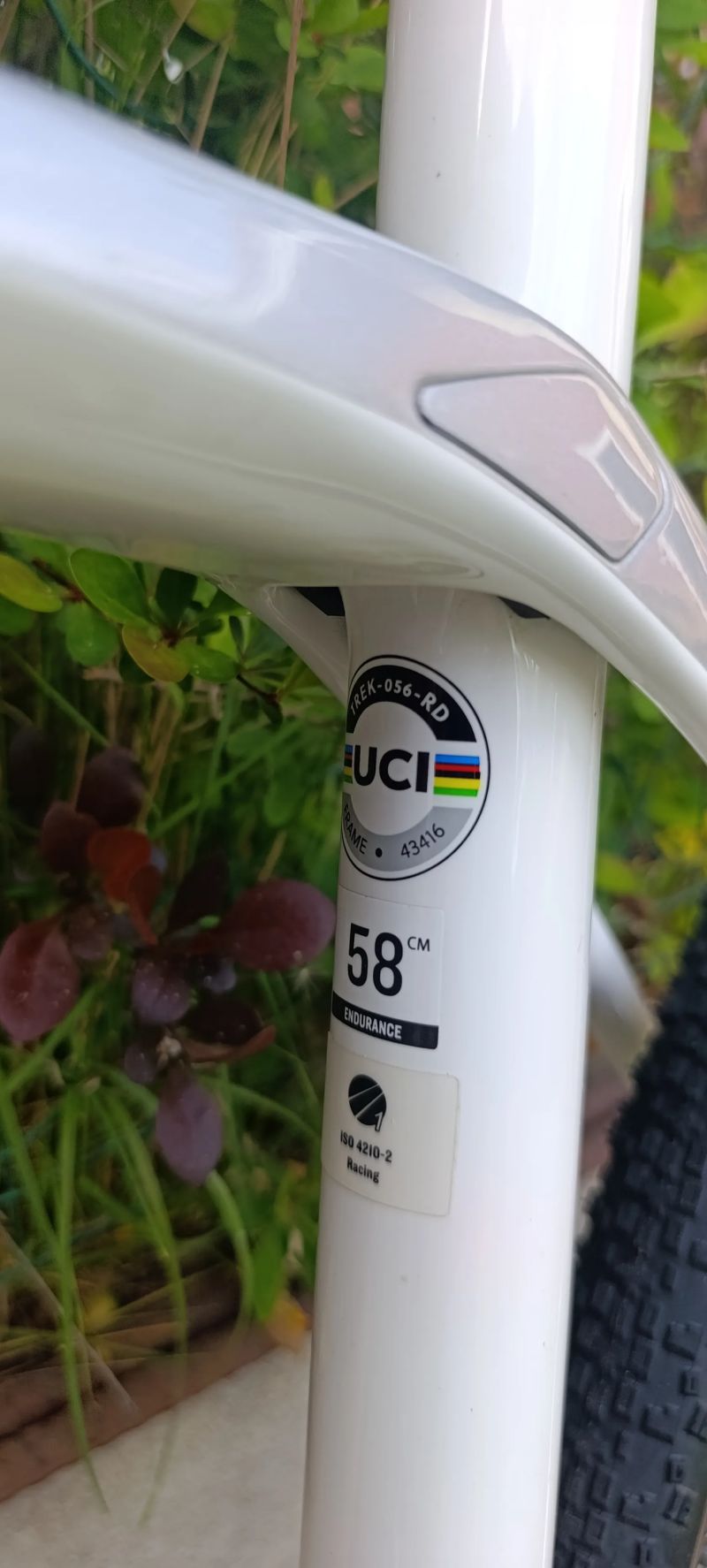 Trek Domane sl5