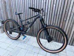 Specialized Status 160