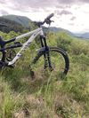 Canyon Spectral AL6 29