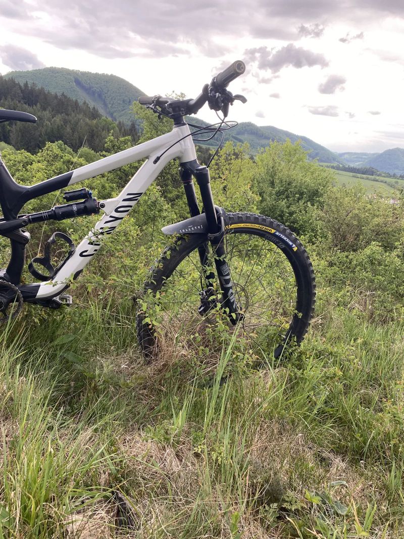 Canyon Spectral AL6 29