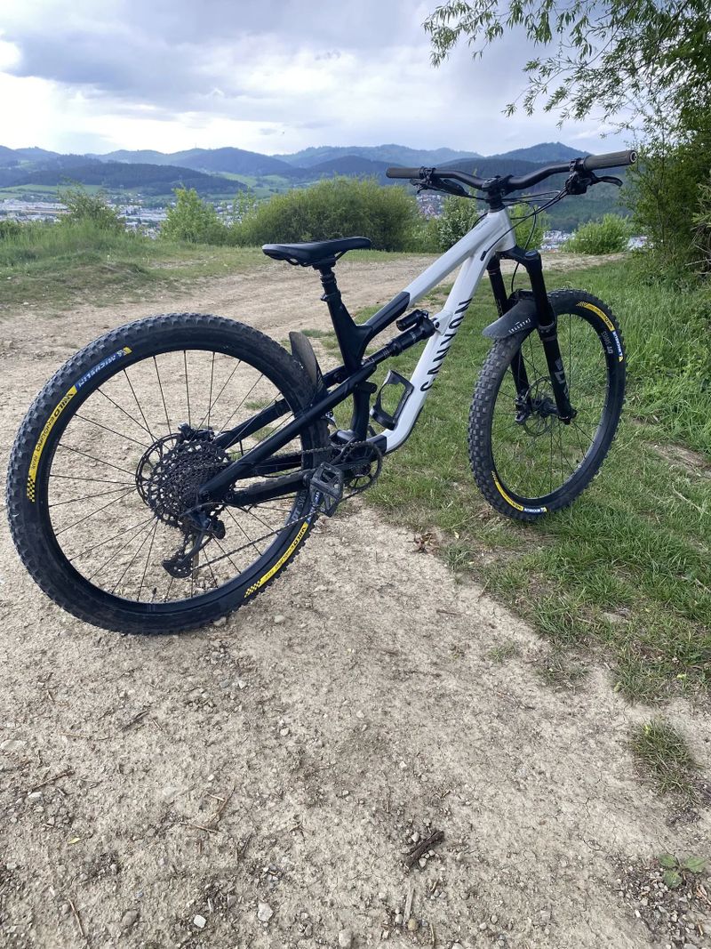 Canyon Spectral AL6 29