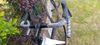 Trek Domane sl5