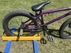 Mafia bikes Kush 2+