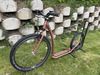 Kostka Tour max dog G5 (26/20)
