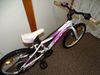 Rock Machine Catherine 20"