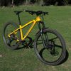 Nukeproof Scout 290