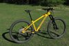 Nukeproof Scout 290