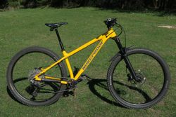 Nukeproof Scout 290