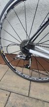 Cannondale Synapse Carbon