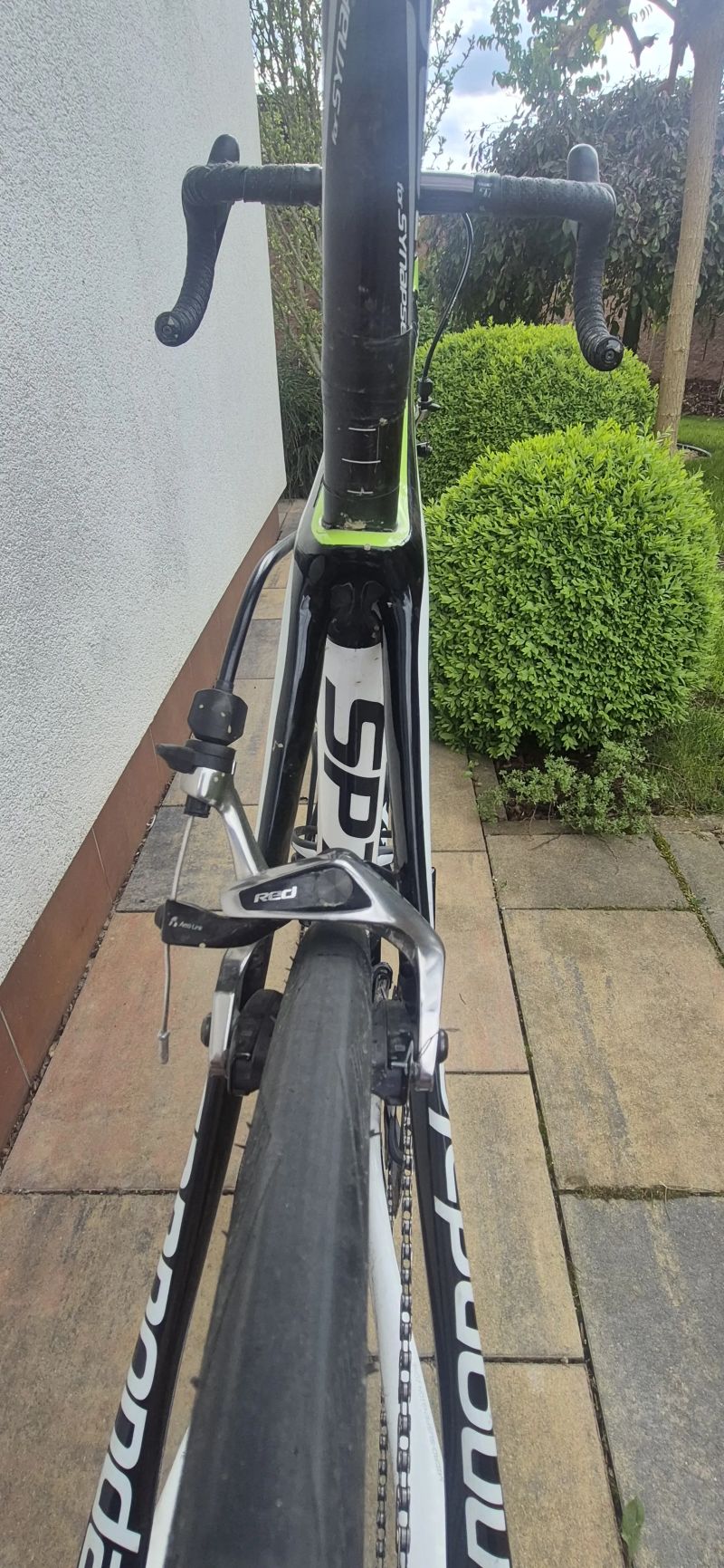 Cannondale Synapse Carbon