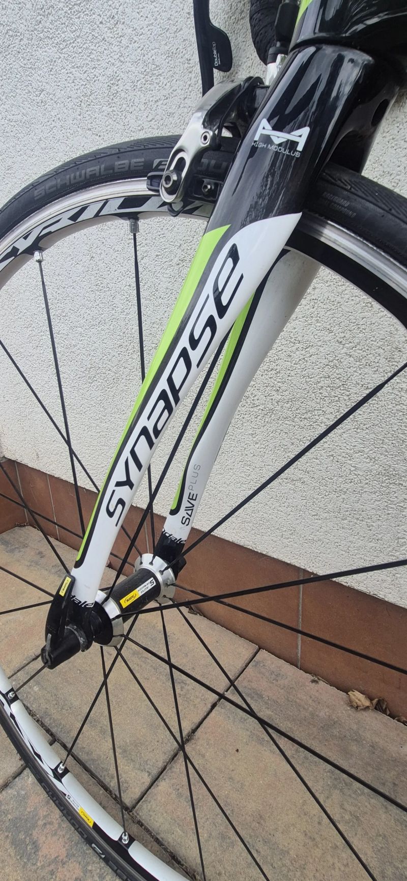 Cannondale Synapse Carbon