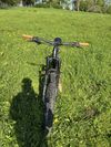 Giant Trance X1 29”