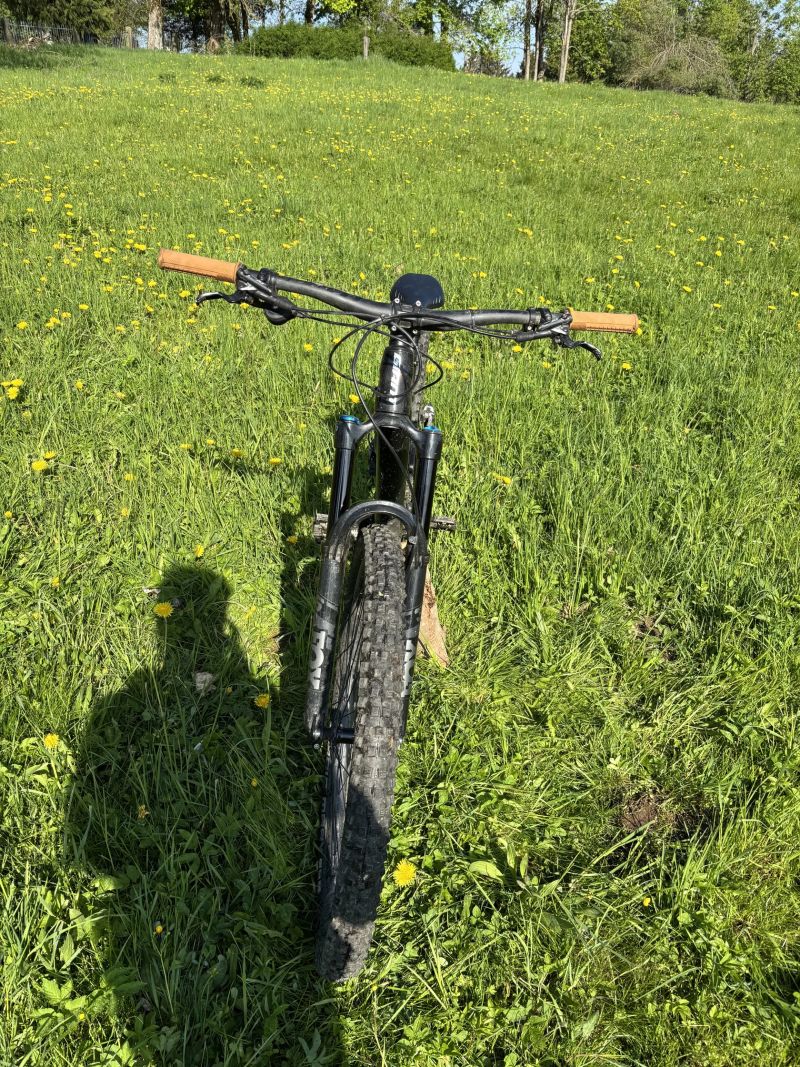 Giant Trance X1 29”