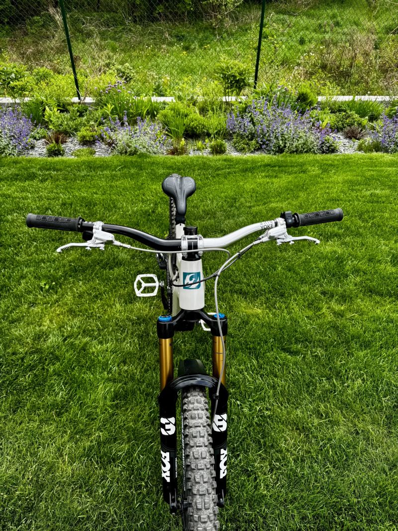 Pivot Shuttle AM (PRO X0)