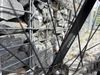 Trek Wahoo 20 Trail - Plasma Grey Pearl