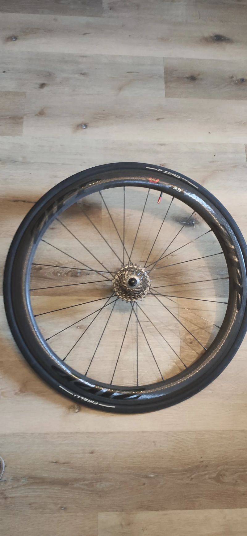 Zipp
