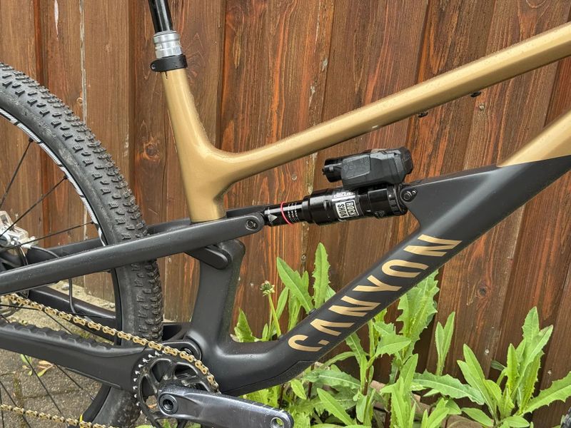 SLEVA - Canyon Spectral 125 CF LTD
