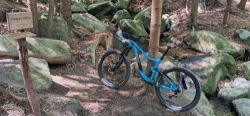 Giant Trance 27.5 | FOX 150/140 mm | XT 1x11 | vel. M (170–180 cm)