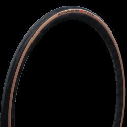 Schwalbe