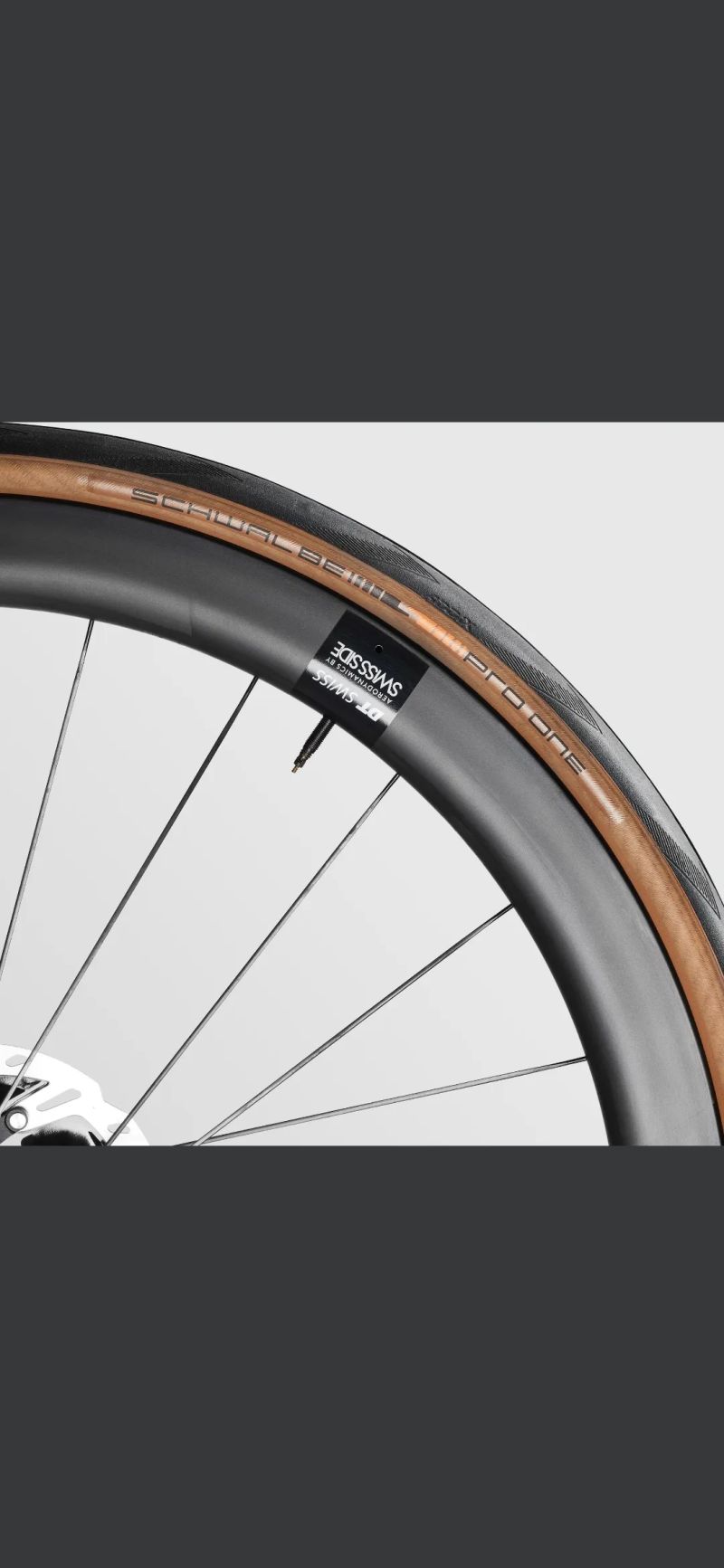 Canyon Endurace SLX 9 Di2