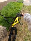Early bird