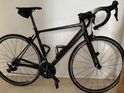 Canyon Endurace CF 7