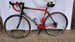 Specialized alliez