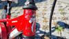 Specialized Hotrock 12