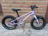 Early Rider Seeker 14