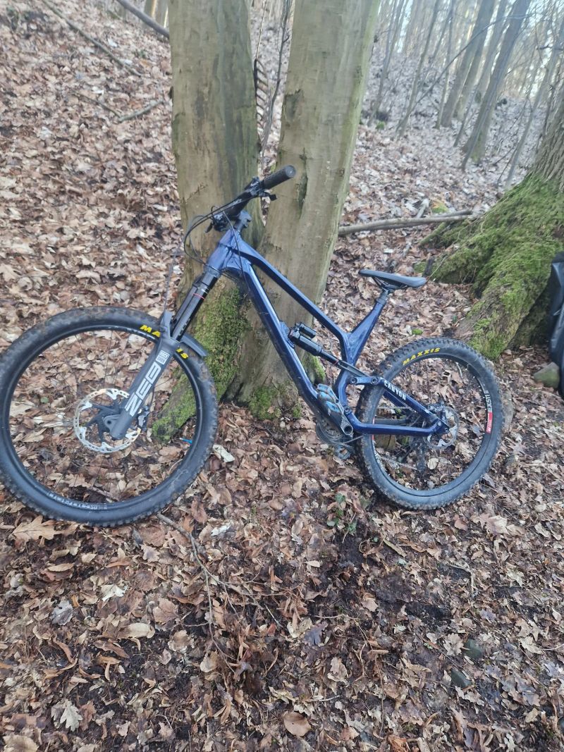 Canyon Torque 27.5