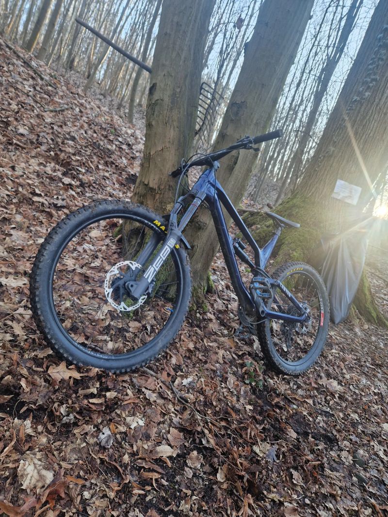 Canyon Torque 27.5
