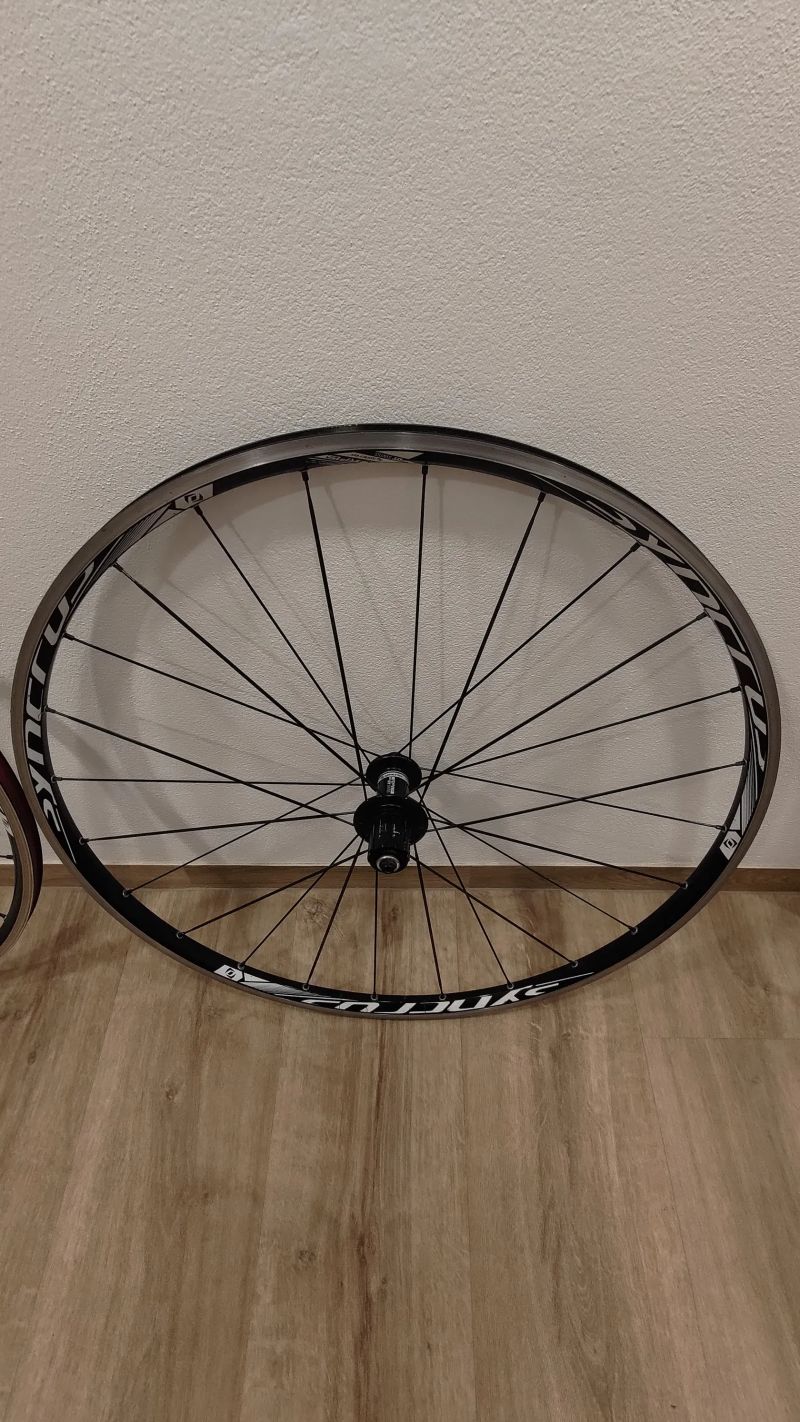 Syncros RP1.5 by DT Swiss